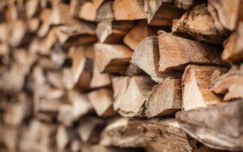 Logs stacked in a woodpile - a great hiding place for termites