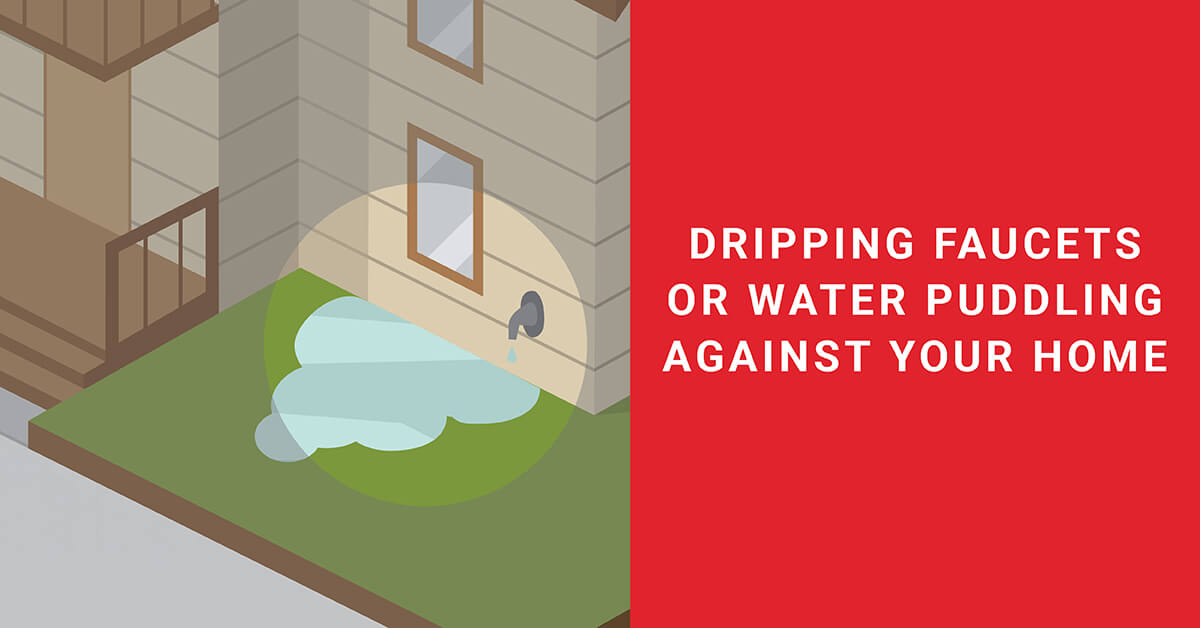 Get rid of termites through prevention. Fix dripping faucets and avoid water puddling in your yard around your home. Termites are attracted to moist areas.